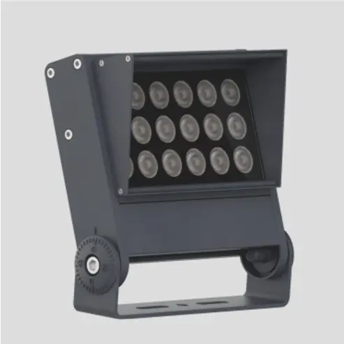 ceiling mount security light